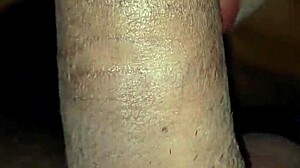 susys cock suck