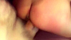 Asian Bimbo Drilled