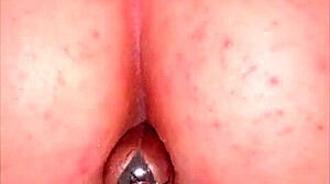 Ass Plug Cumdump