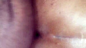 Tasha Ass Creampie