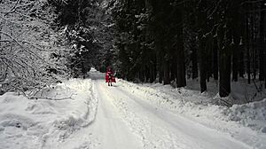 Snowy Red Hood
