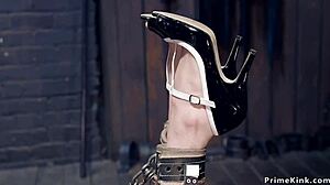 Clamped Suspension