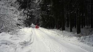 Snowy Red Hood