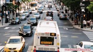 bus groper tease