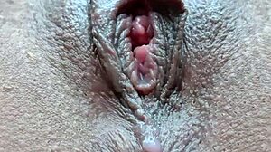Anus Pussy Closeup