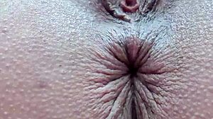 Anus Pussy Closeup