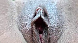 Anus Pussy Closeup