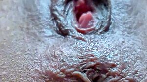 Anus Pussy Closeup