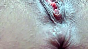 Anus Pussy Closeup