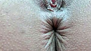 Anus Pussy Closeup