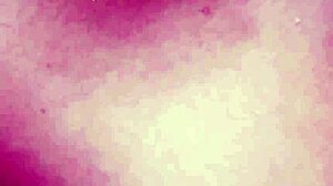 Doggy Passion Fuck