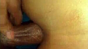 Hotel Anal In Lima