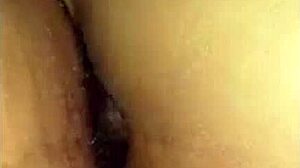Hotel Anal In Lima