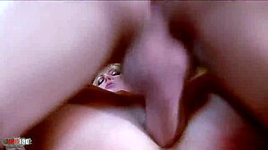 Hardcore Gonzo Scene