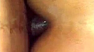 Hotel Anal In Lima