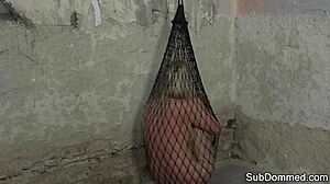 dominated euro slave