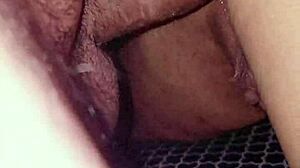 dominican bbw ride