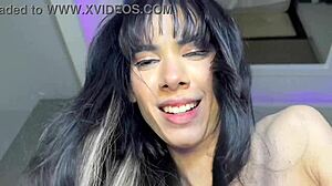 Modelo do nordeste