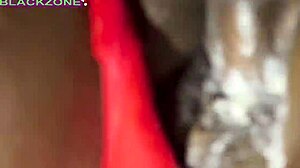 Christmas Backshots Creampie