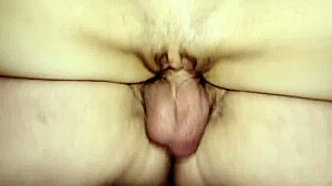 real couple fuck