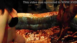 Chocolate wrestling movie