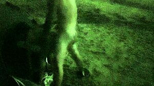 Beach Sex Fun