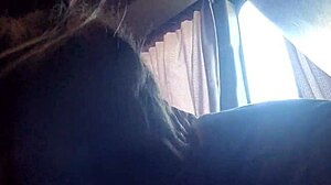 Bus Blowjob Encounter