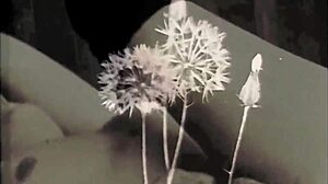 Vintage Silent Films